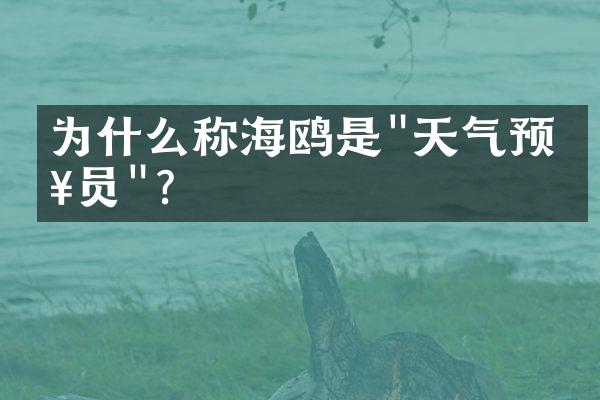 为什么称海鸥是"天气预报员"?
