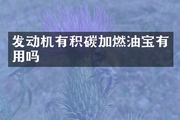 发动机有积碳加燃油宝有用吗