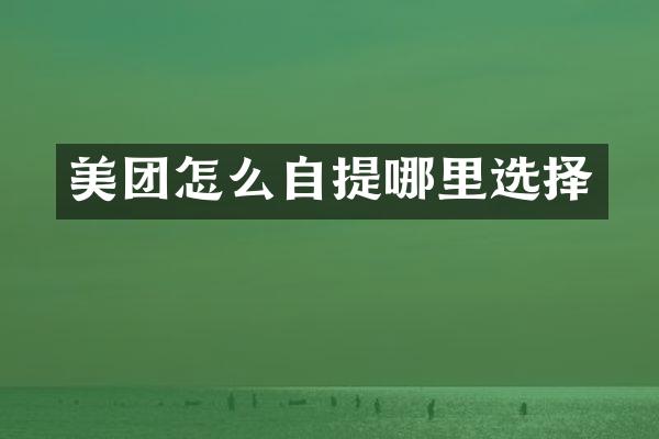 美团怎么自提哪里选择