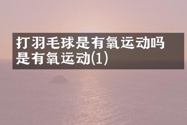 打羽毛球是有氧运动吗 算是有氧运动(1)