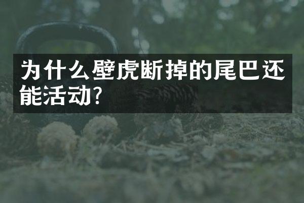 为什么壁虎断掉的尾巴还能活动?