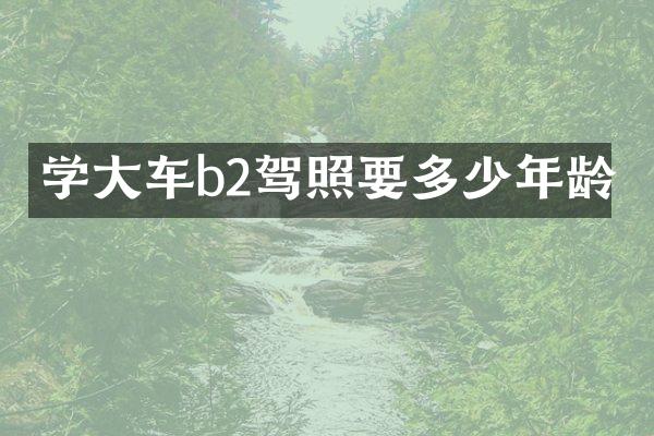 学大车b2驾照要多少年龄