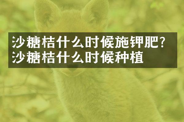 沙糖桔什么时候施钾肥？沙糖桔什么时候种植