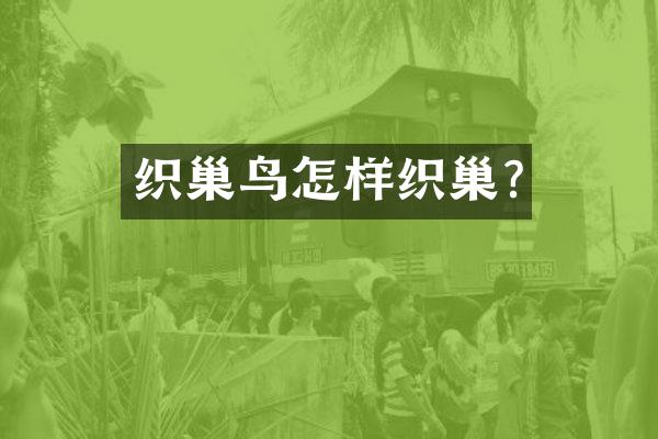 织巢鸟怎样织巢?