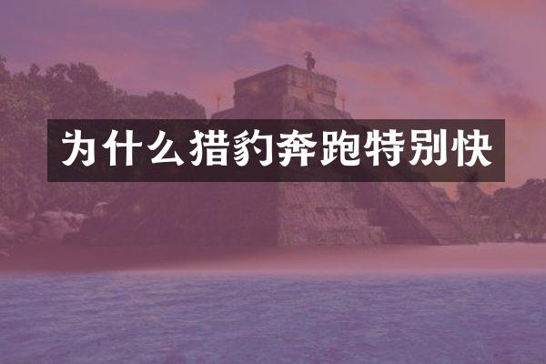 为什么猎豹奔跑特别快