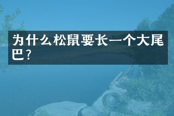 为什么松鼠要长一个大尾巴?