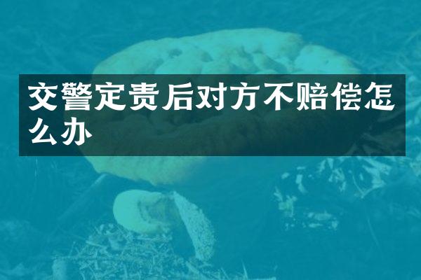 交警定责后对方不赔偿怎么办