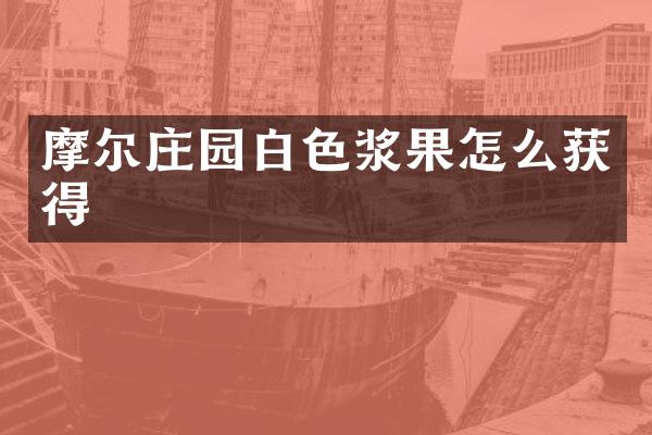 摩尔庄园白色浆果怎么获得
