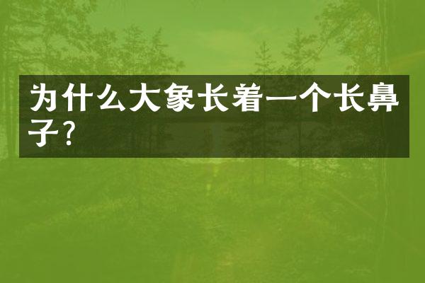 为什么大象长着一个长鼻子？