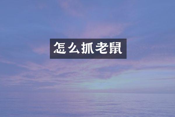 怎么抓老鼠