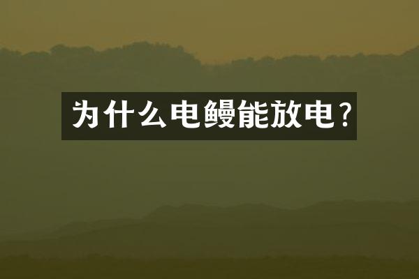 为什么电鳗能放电?