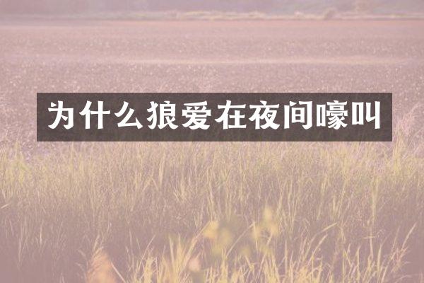 为什么狼爱在夜间嚎叫