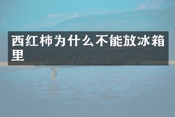 西红柿为什么不能放冰箱里
