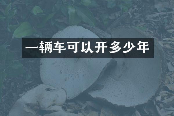 一辆车可以开多少年