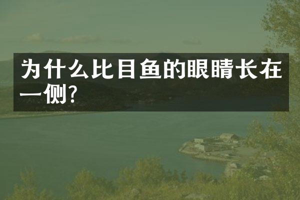 为什么比目鱼的眼睛长在一侧？