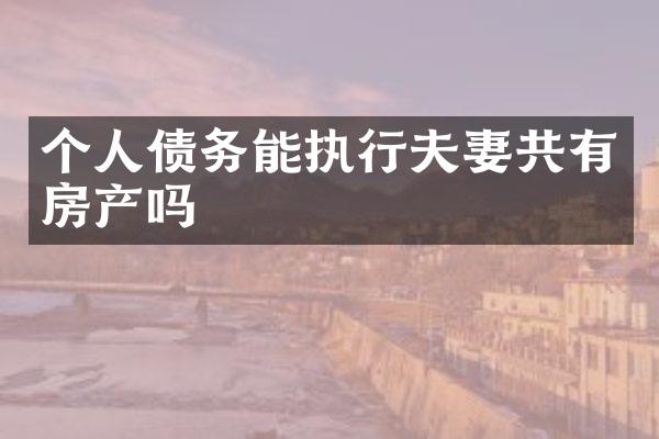个人债务能执行夫妻共有房产吗