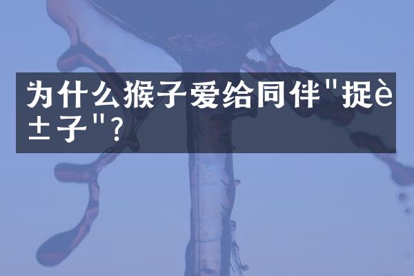 为什么猴子爱给同伴"捉虱子"?