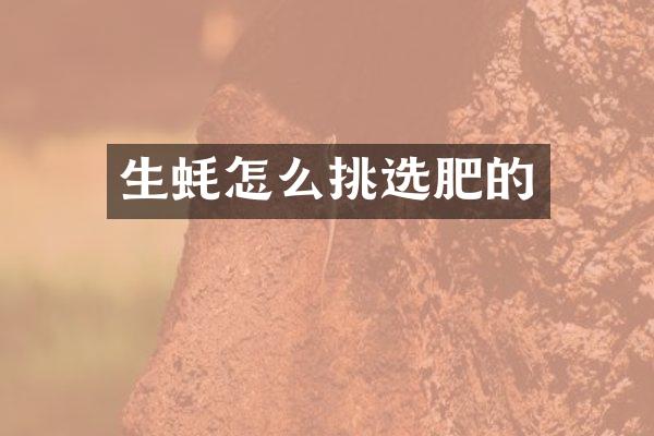 生蚝怎么挑选肥的