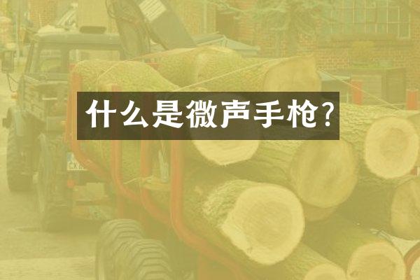 什么是微声手枪?