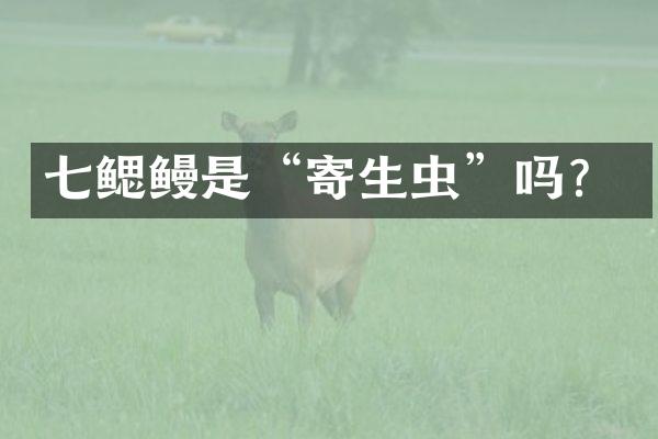 七鳃鳗是“寄生虫”吗？