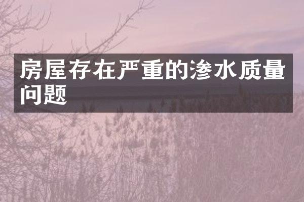 房屋存在严重的渗水质量问题