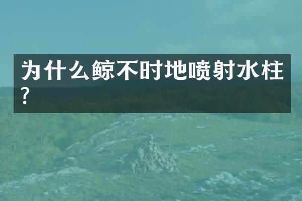 为什么鲸不时地喷射水柱?