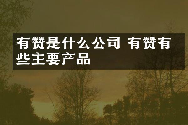 有赞是什么公司 有赞有哪些主要产品