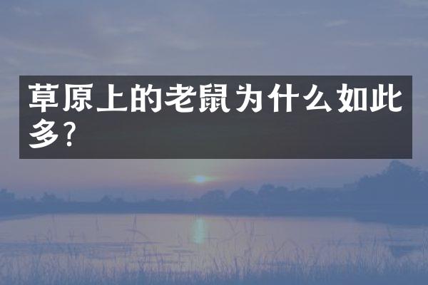 草原上的老鼠为什么如此多？
