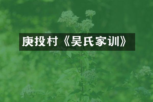 庚投村《吴氏家训》