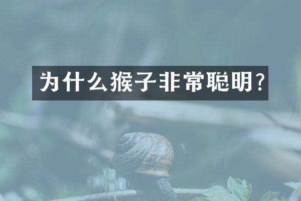 为什么猴子非常聪明?
