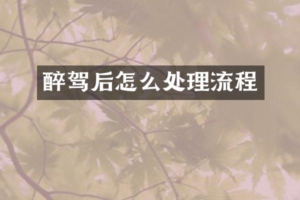 醉驾后怎么处理流程