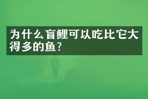 为什么盲鲤可以吃比它大得多的鱼?