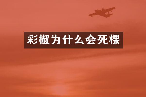 彩椒为什么会死棵