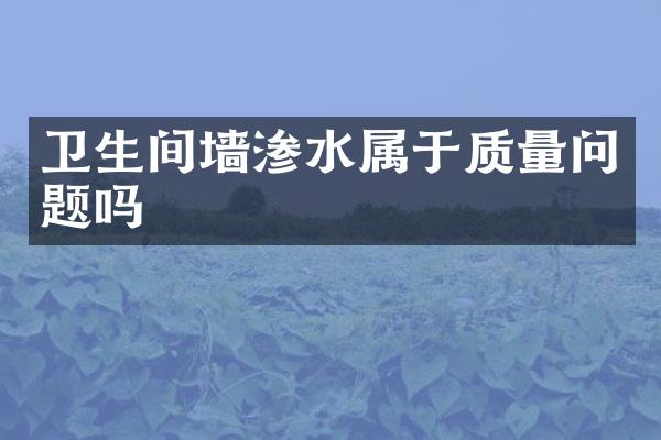 卫生间墙渗水属于质量问题吗