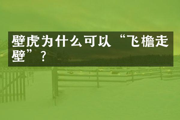 壁虎为什么可以“飞檐走壁”？