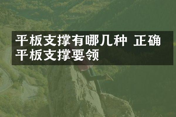 平板支撑有哪几种 正确的平板支撑要领
