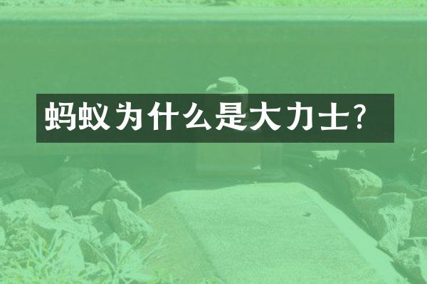 蚂蚁为什么是大力士？
