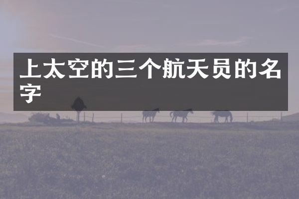 上太空的三个航天员的名字