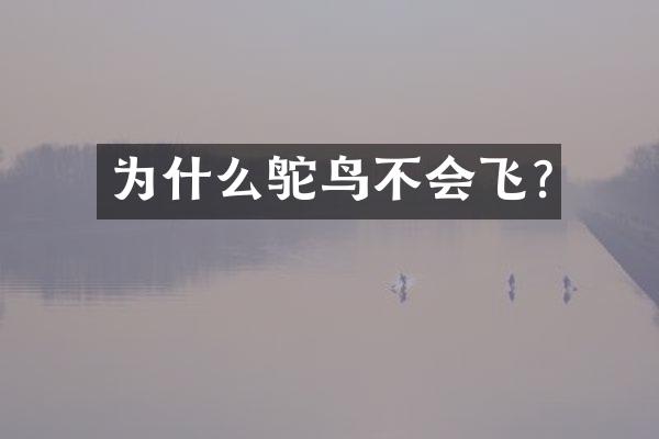 为什么鸵鸟不会飞?