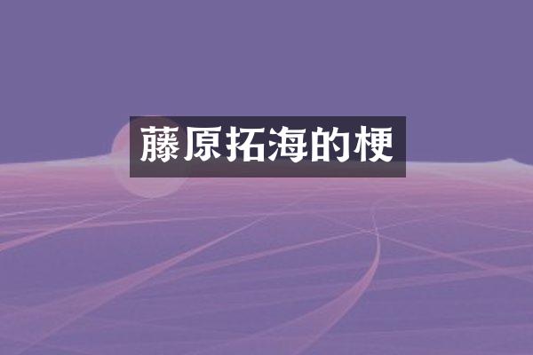 藤原拓海的梗