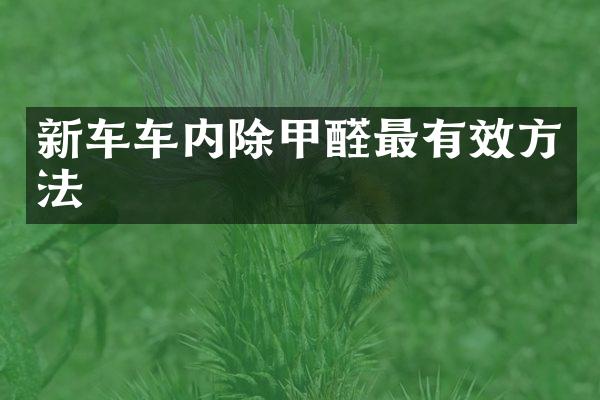 新车车内除甲醛最有效方法