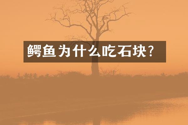 鳄鱼为什么吃石块？