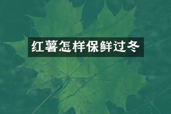 红薯怎样保鲜过冬
