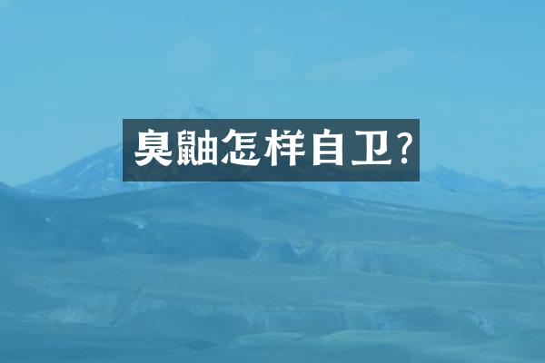 臭鼬怎样自卫?