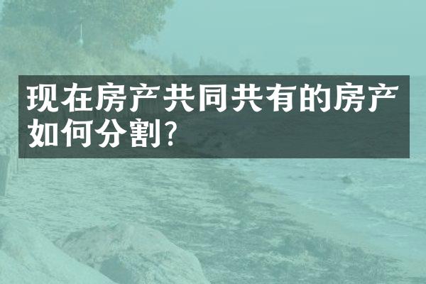现在房产共同共有的房产如何分割？