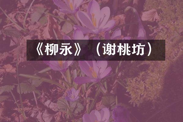 《柳永》（谢桃坊）