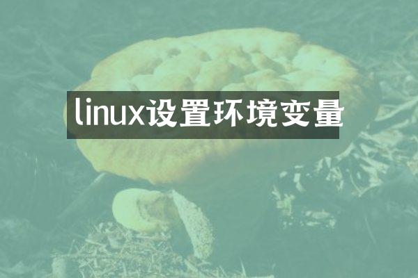 linux设置环境变量