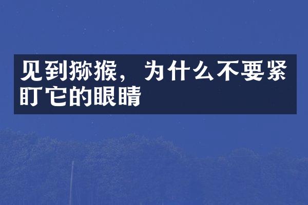 见到猕猴，为什么不要紧盯它的眼睛
