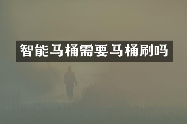 智能马桶需要马桶刷吗