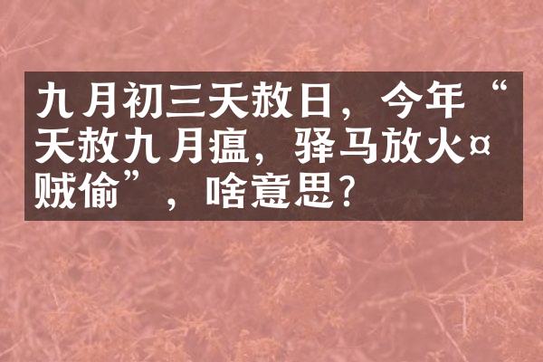 九月初三天赦日，今年“天赦九月瘟，驿马放火天贼偷”，啥意思？